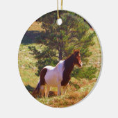 Gepilde Pony door de pine Keramisch Ornament (Links)