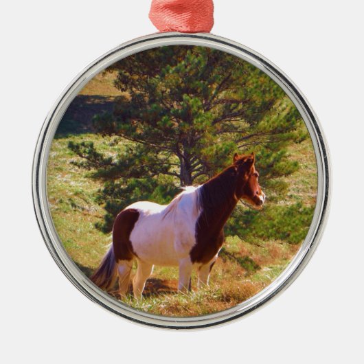 Gepilde Pony door de pine Metalen Ornament (Voorkant)