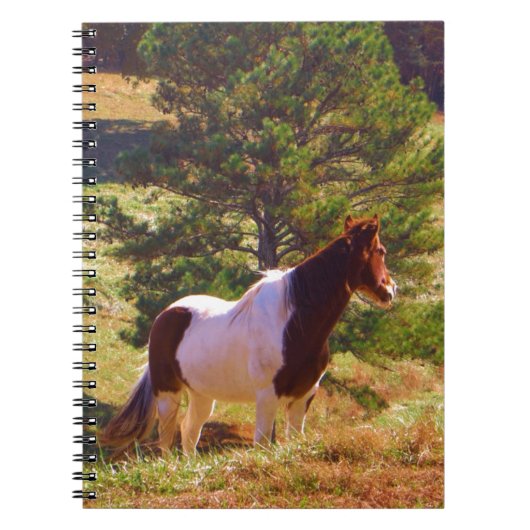 Gepilde Pony door de pine Notitieboek (Voorkant)