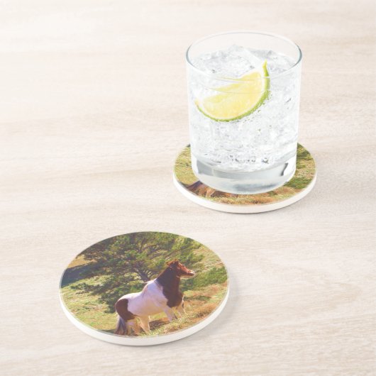 Gepilde Pony door de pine Zandsteen Onderzetter (Zijkant)