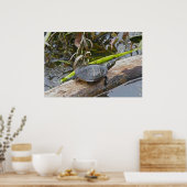 Gepilde Poster voor zonnedonering (Keuken)