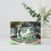 Gepilde schildpad (Chrysemys picta) 2 Briefkaart (Staand voorkant)