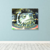 Gepilde schildpad (Chrysemys picta) 2 Canvas Afdruk (Insitu (Houten vloer))