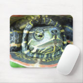 Gepilde schildpad (Chrysemys picta) 2 Muismat (Met muis)