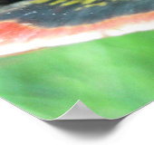 Gepilde schildpad (Chrysemys picta) 2 Poster (Hoek)