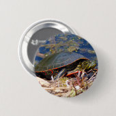 Gepilde schildpad (Chrysemys picta) 3 Ronde Button 5,7 Cm (Voorkant /achterkant)