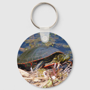 Gepilde schildpad (Chrysemys picta) 3 Sleutelhanger