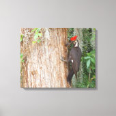 Gepileerde specht op doek canvas afdruk (Voorkant)