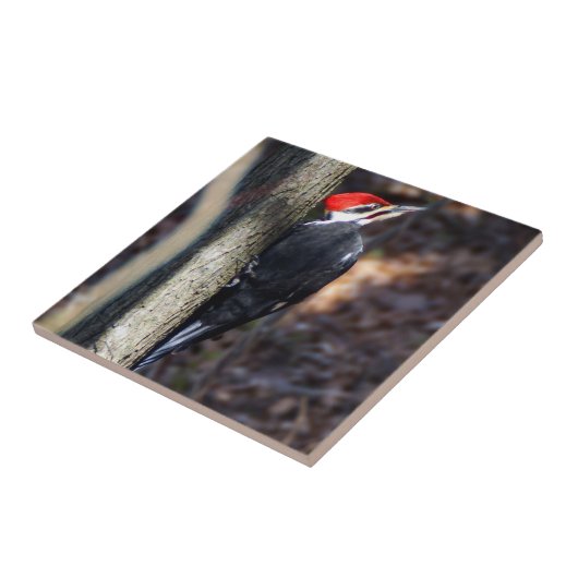 Gepileerde Woodpecker Ceramic Photo Tile Tegeltje (Zijkant)