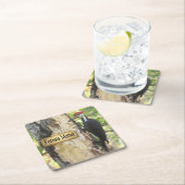 Gepileerde Woodpecker Ecology Onderzetter Set (Insitu)