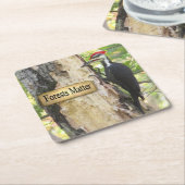 Gepileerde Woodpecker Ecology Onderzetter Set (Schuin)