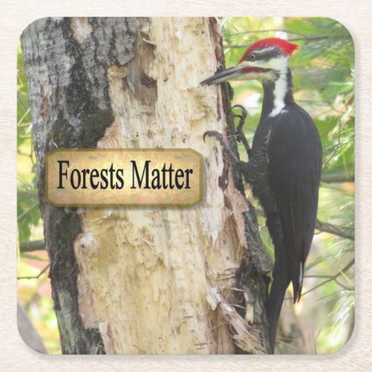 Gepileerde Woodpecker Ecology Onderzetter Set (Voorkant)