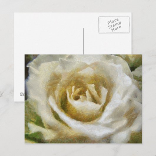 Gepiliseerd Briefkaart van witte rozen (Voorkant / Achterkant)