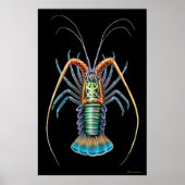 Gepiliseerd Poster met kleine langwerpig (Voorkant)