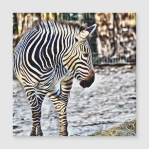 Gepiliseerd Zebra 11218