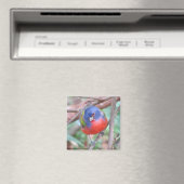 Gepilleerde bundelmagneet magneet (Insitu (Vaatwasser))