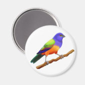 Gepilleerde bundelmagneet magneet (Voorkant / Achterkant)