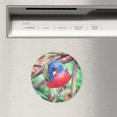 Gepilleerde bundelmagneet magneet (Insitu (Vaatwasser))