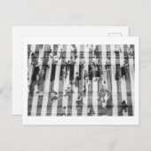 gepioeniseerd briefkaart (Voorkant / Achterkant)