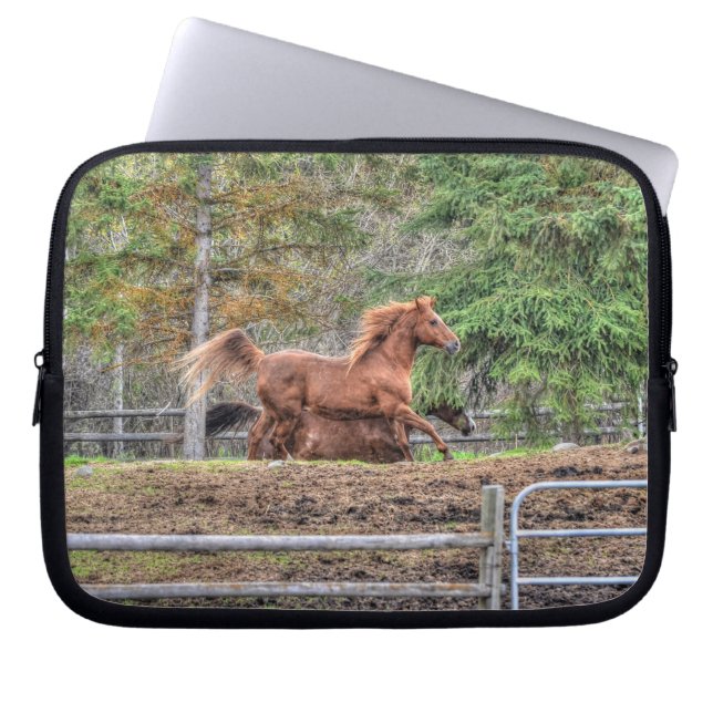 Gepiriseerde Dun-Pony en Chestnut Ranch Horse Raci Laptop Sleeve (Voorkant)