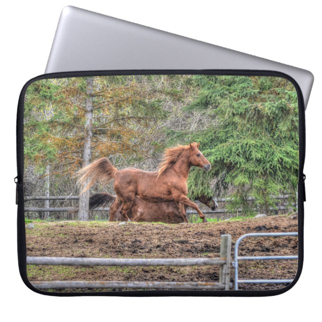 Gepiriseerde Dun-Pony en Chestnut Ranch Horse Raci Laptop Sleeve (Voorkant)