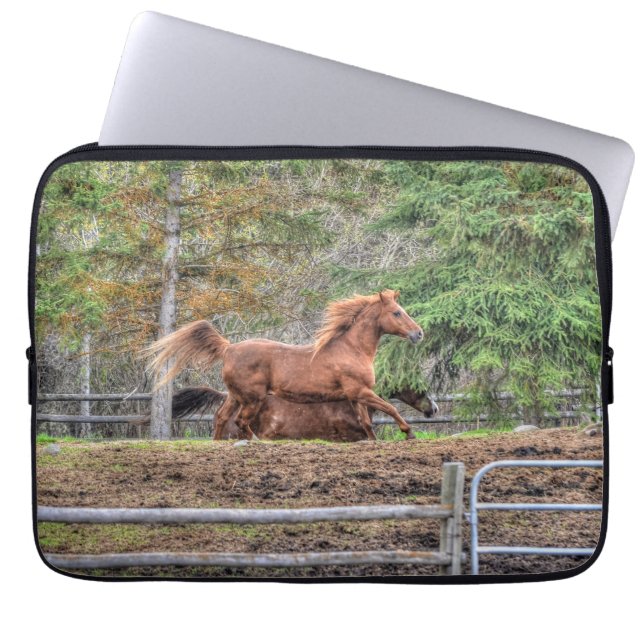 Gepiriseerde Dun-Pony en Chestnut Ranch Horse Raci Laptop Sleeve (Voorkant)