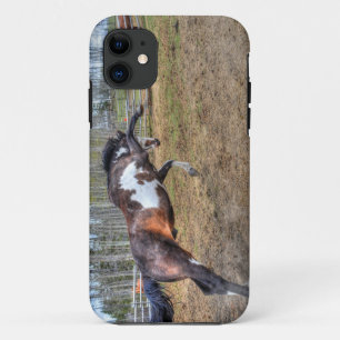 Gepironeerde Pinto Stallion Equine Action Foto Case-Mate iPhone Case