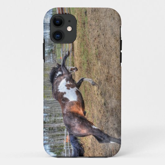 Gepironeerde Pinto Stallion Equine Action Foto Case-Mate iPhone Case (Achterkant)