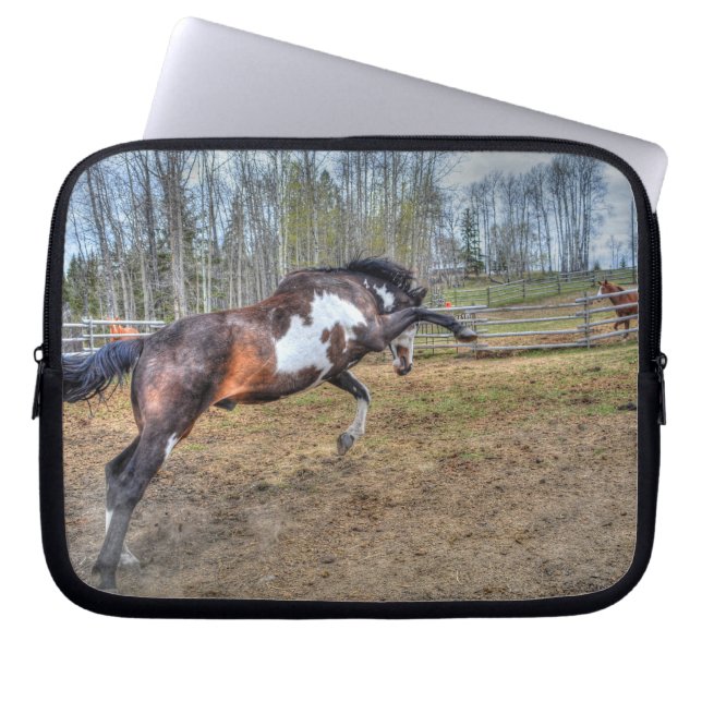 Gepironeerde Pinto Stallion Equine Action Foto Laptop Sleeve (Voorkant)
