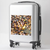Gepitte en gekruide zwarte Leccino Olijven Sticker (Koffer)