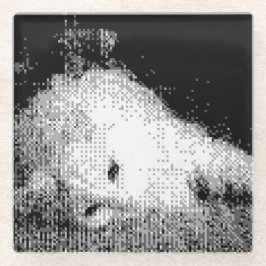 gepixeld katten onderzetter glazen onderzetter