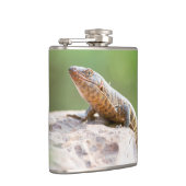 Geplaatste hagedis heupfles (Rechts)