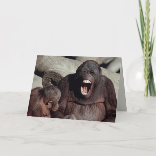 Geplaatste het wild - Primaten 1 Kaart (Voorkant)