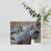 Geplaatste het wild - Primaten 3 Briefkaart (Staand voorkant)