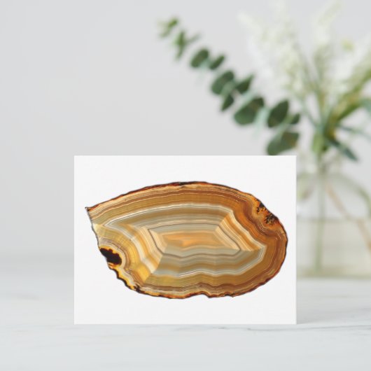 Gepland schuine achtergrond briefkaart (Staand voorkant)