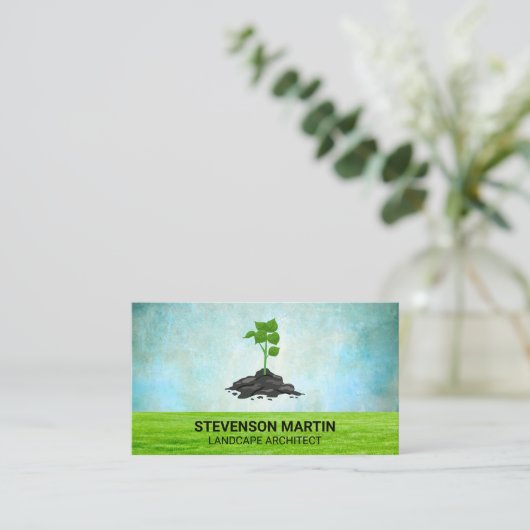 Geplande boom | Gras | Landschapsontwerp Visitekaartje (Staand voorkant)