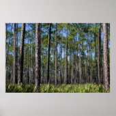 Geplante pijnen en handpalmafdrukken poster (Voorkant)