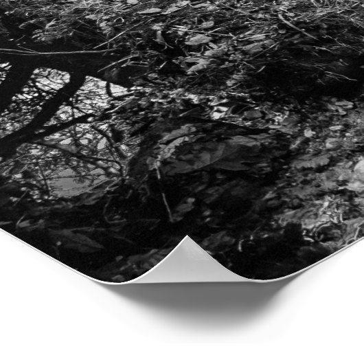 Geplaveid langs de Riverbank Poster (Hoek)