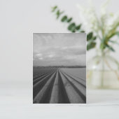 Geploegd veld briefkaart (Staand voorkant)