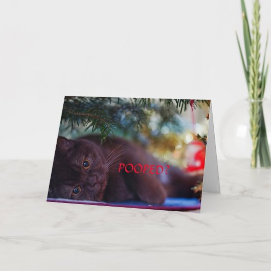 GEPOEPT? KERST KAART VOOR IEDEREEN (Voorkant)