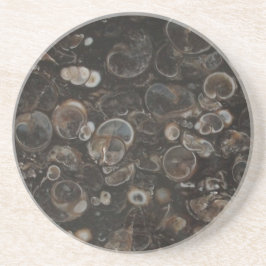 Gepolijst gesteente print (Turritella Agaat) Onder Zandsteen Onderzetter