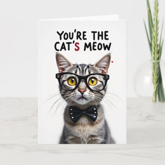Gepolkte Katten Miauw Kaart (Voorkant)
