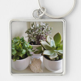 Gepoot Succulent met Seashell Sleutelhanger