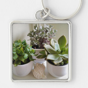Gepoot Succulent met Seashell Sleutelhanger