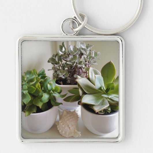 Gepoot Succulent met Seashell Sleutelhanger (Voorkant)