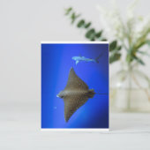 Gepootte adelrog en rif haai onder water briefkaart (Staand voorkant)