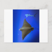 Gepootte adelrog en rif haai onder water briefkaart (Voorkant)