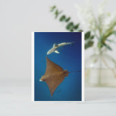 Gepootte adelrog en rifhaai onderwater briefkaart (Staand voorkant)