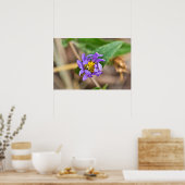 Gepootte cilindrische kegel op Poster van Aster Wi (Keuken)