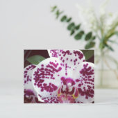 Gepootte orchidee Briefkaart (Staand voorkant)